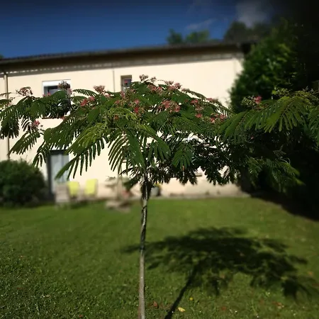 De Sapiac * 몽토방