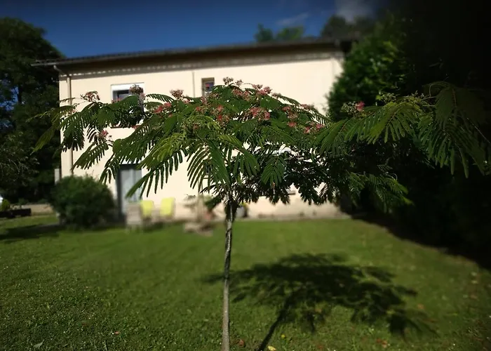 De Sapiac * 몽토방